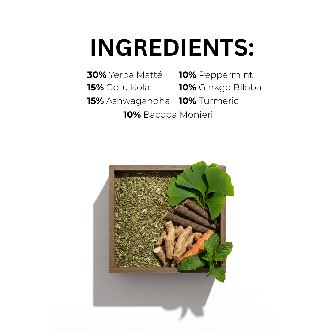 FOCUS | Bylinná směs