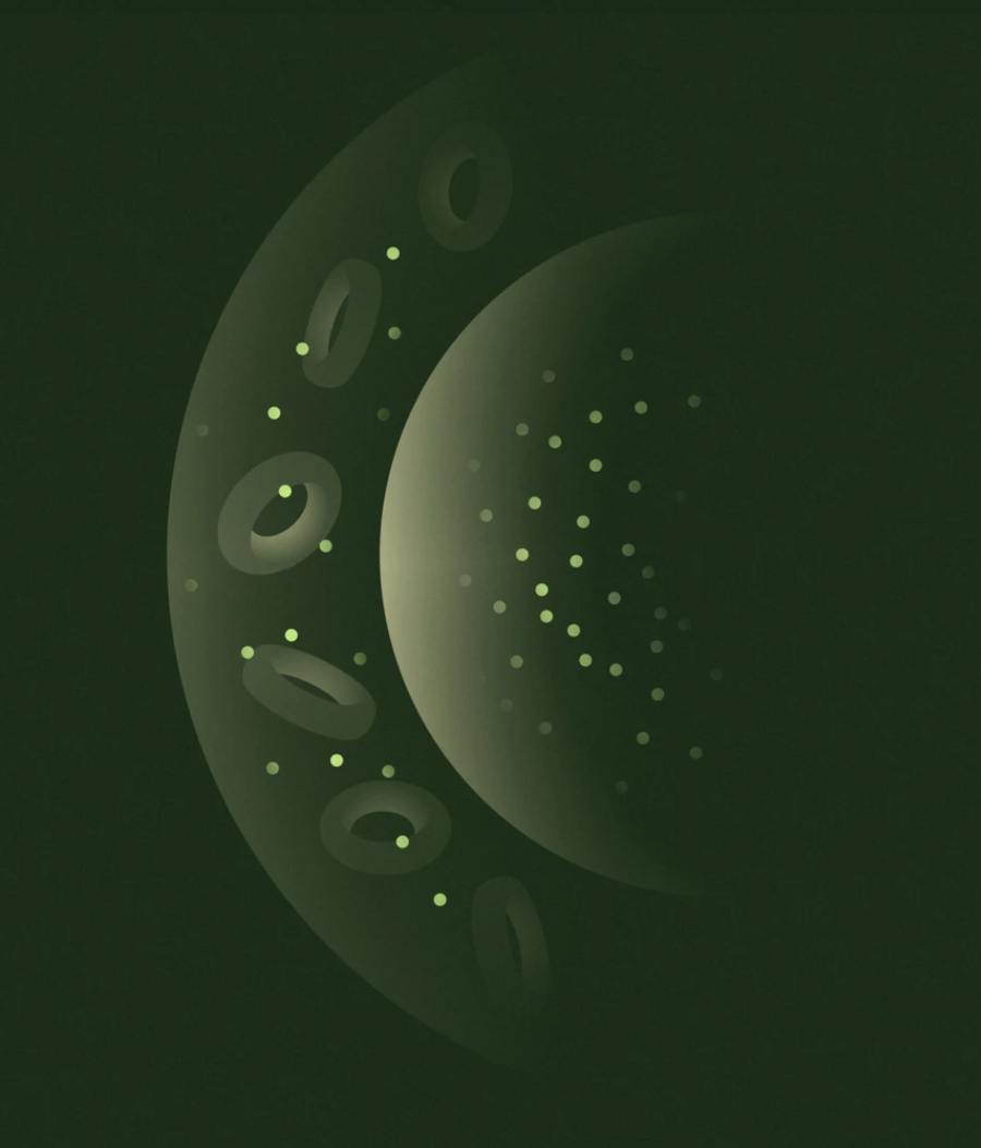OBNOVA